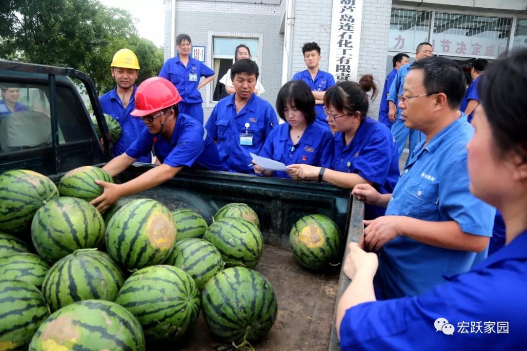 网投在线（中国）有限公司工会开展“夏送清凉”活动